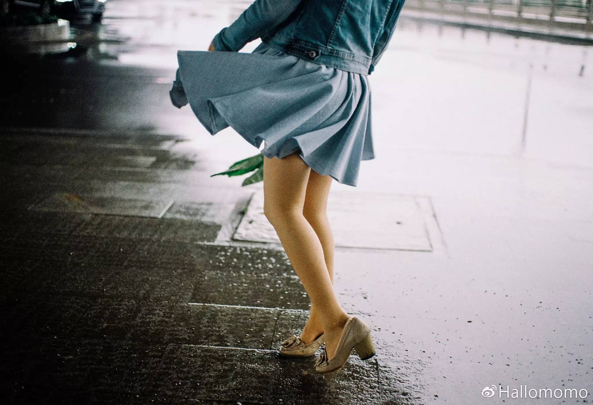 中画幅胶片机推荐,有哪些值得买的胶片机