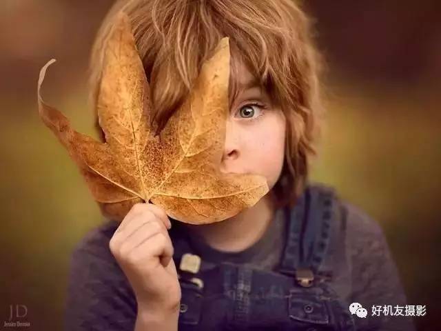 绉嬪ぉ灏嗚鏉ヤ复,绉嬪ぉ鍗冲皢鏉ヤ复