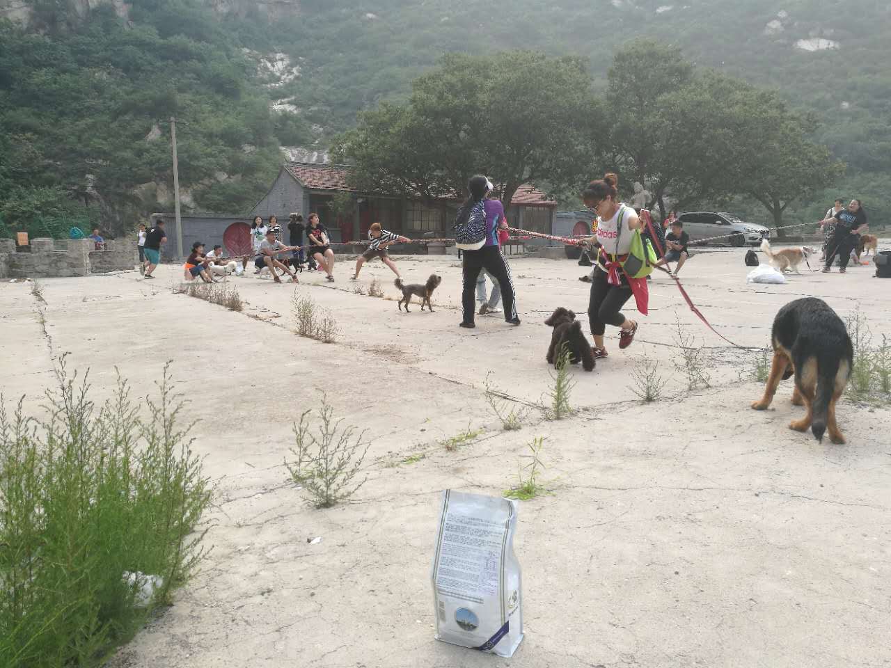 活动回顾｜随欧帝亿遛狗圣地撒花跑，铁锅灶台鱼可劲儿造回顾