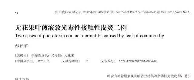 无花果水洗脚灼伤皮肤，到底谁是罪魁祸首？
