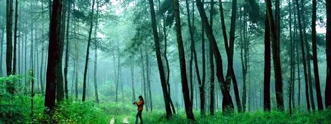 贵阳爬山看风景,贵阳有座望日坡登高赏秋好去处