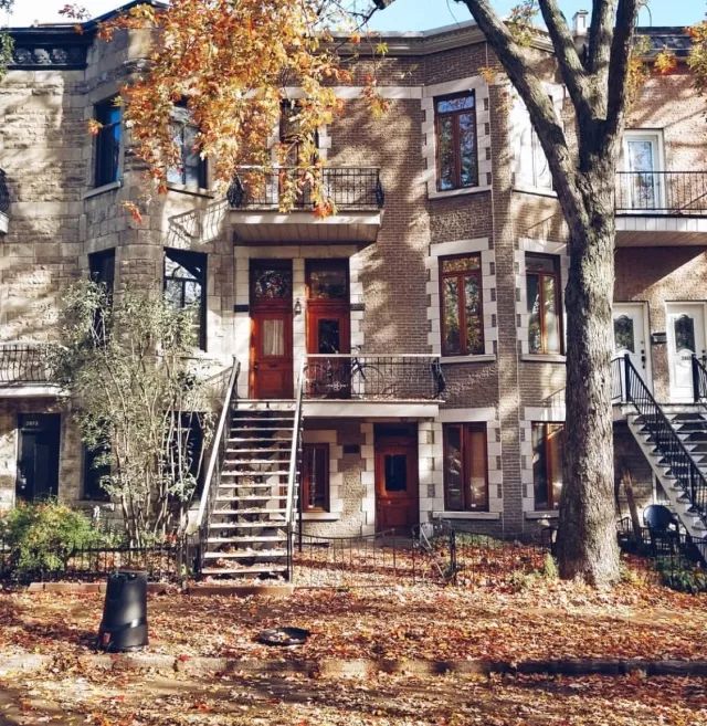 琛岃蛋鑹烘湳涔嬪煄钂欑壒鍒╁皵,钂欑壒鍒╁皵鍙ゅ煄