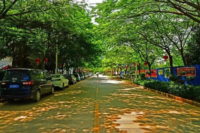 一封云南的特殊来信,一封来自云南的感谢信