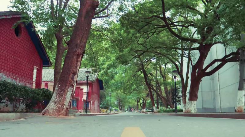 献给你，光影中的林科大