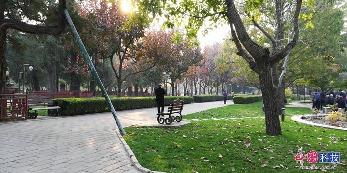 荣耀畅玩7x的上一代手机,荣耀畅玩7x新机测评