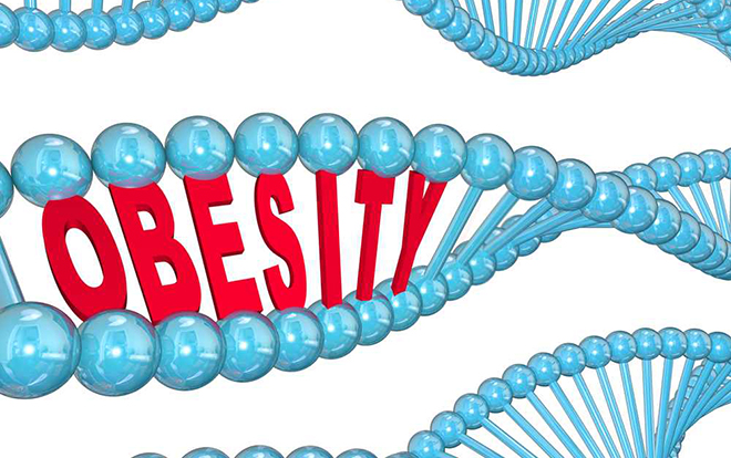 BioWeek一周资讯回顾：华人科学家顾臻又出新成果啦！这次是“癌症免疫疗法贴片”