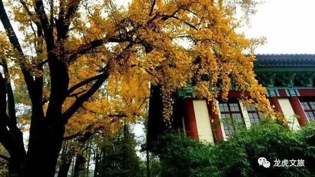 最低机票价格仅9元,1月现在去哪里旅游机票最便宜