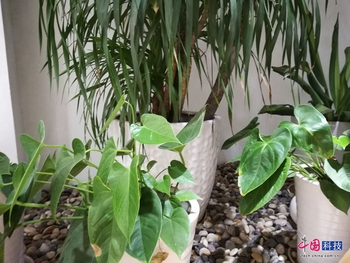 荣耀畅玩7x的上一代手机,荣耀畅玩7x新机测评