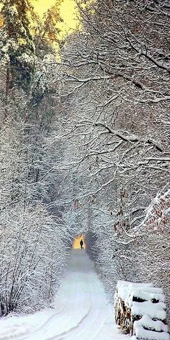 今日立冬品读最美的十首节气诗词,节气物语今日立冬
