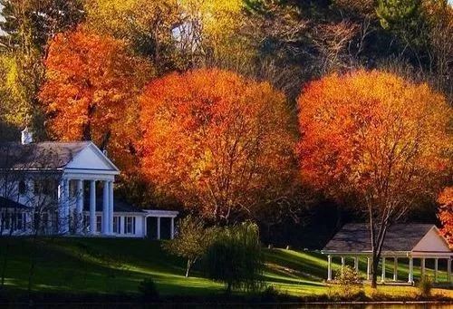 趣味树叶拼贴画手工,树叶粘贴画秋天落叶制作