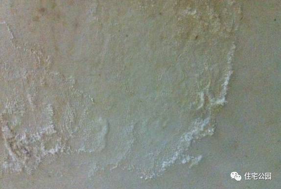 墙体发霉返潮的原因,墙体发霉返碱涂刷