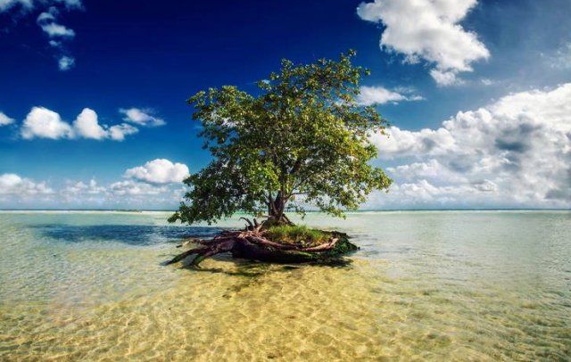 7.7黄金走势最新消息,7月28日黄金行情分析及操作策略