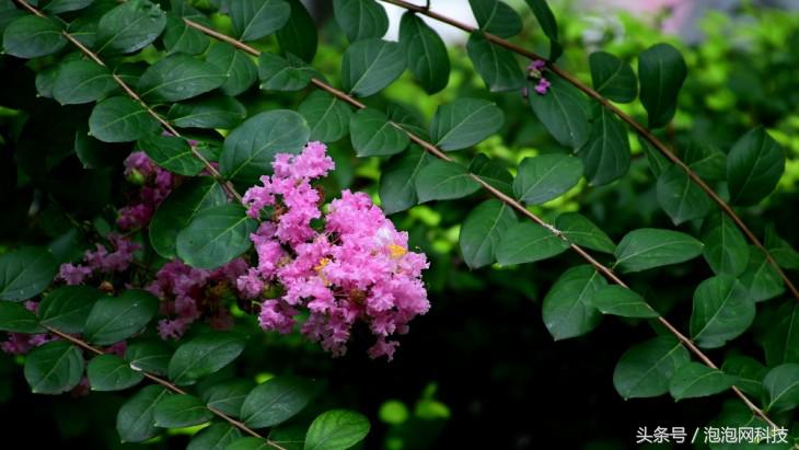 尼康d7500属于什么级别的单反,尼康d7500各种环境下的拍摄参数