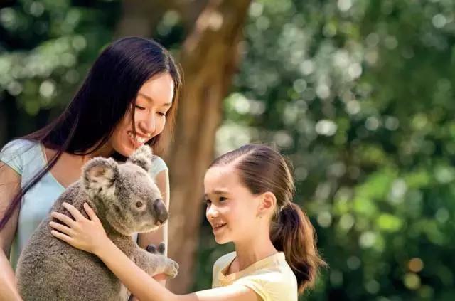 广东直飞旅游攻略路线推荐,广州直飞二日游最佳地方