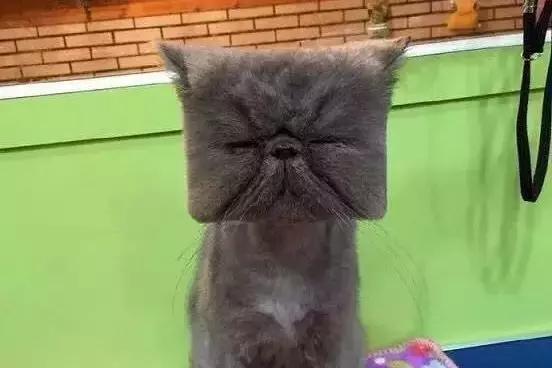 丧文化再度来袭,丧文化