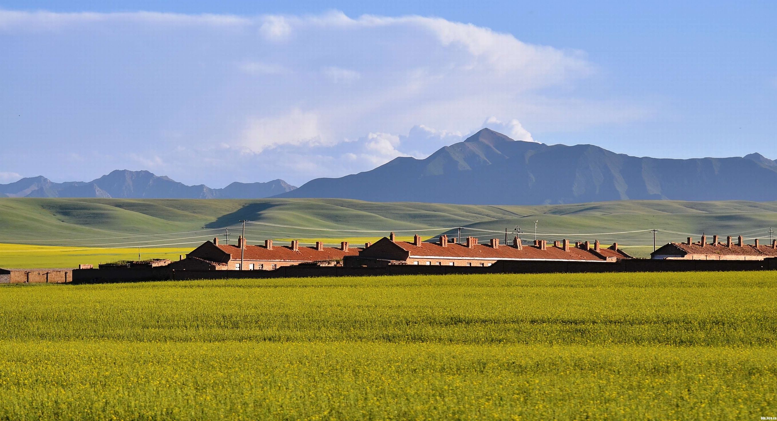 世界第一大马场有多少匹马,世界最大的军马场