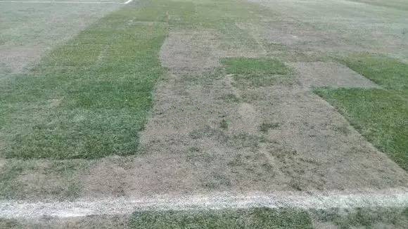 楦熷发绌嗛噷灏煎ゥ,绌嗛噷灏煎ゥ楦熷发浜嬩欢