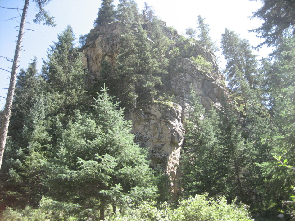 世界第一大马场有多少匹马,世界最大的军马场