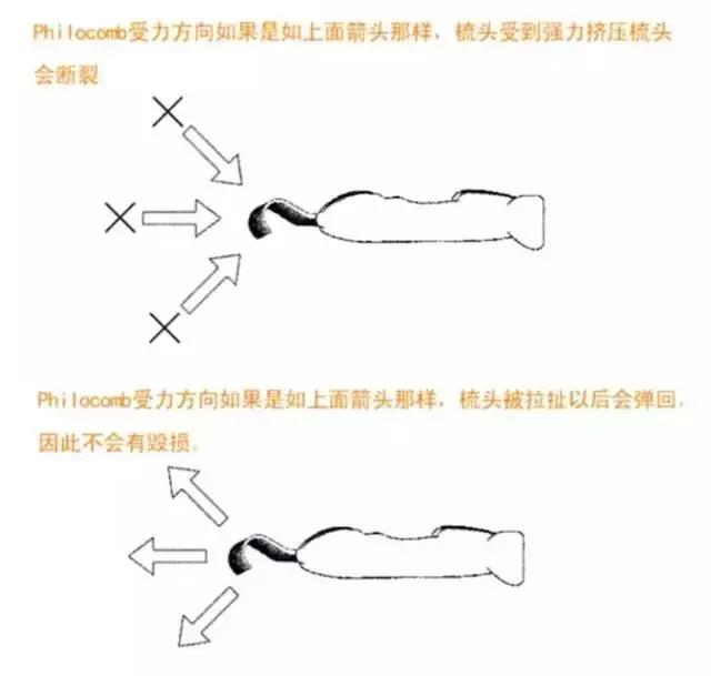 最好用的猫咪梳毛神器,贝壳梳猫咪推荐