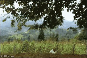 姑娘玩足球视频,妹子足球教学