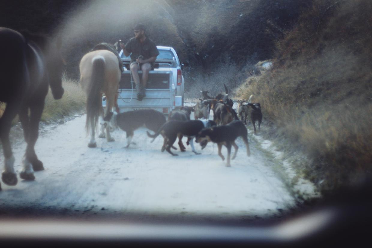 廉价航空行李省钱攻略,廉价航空流程详细步骤