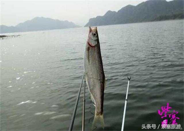 易县易水湖周边农家院吃住攻略,保定易水湖农家院推荐