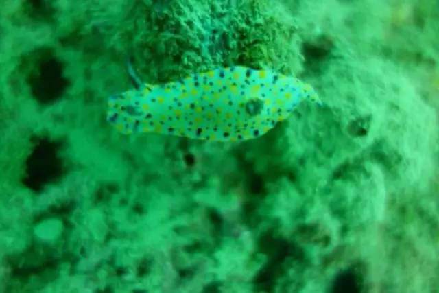 你会选择在南宁和300万人“假装生活”还是和我一起出逃到海岛呢！