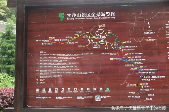 梵净山奇幻之旅,梵净山最美一日游