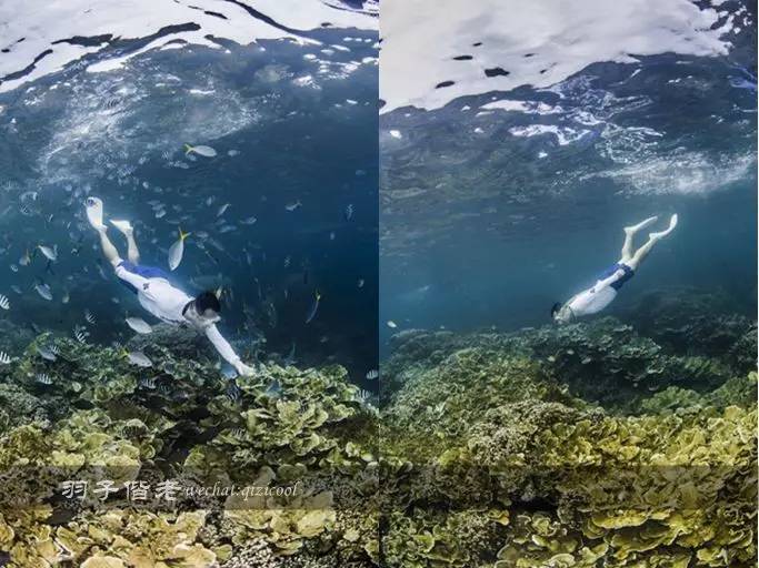 帕劳的旅游时长是多少,帕劳旅游找哪个旅行社