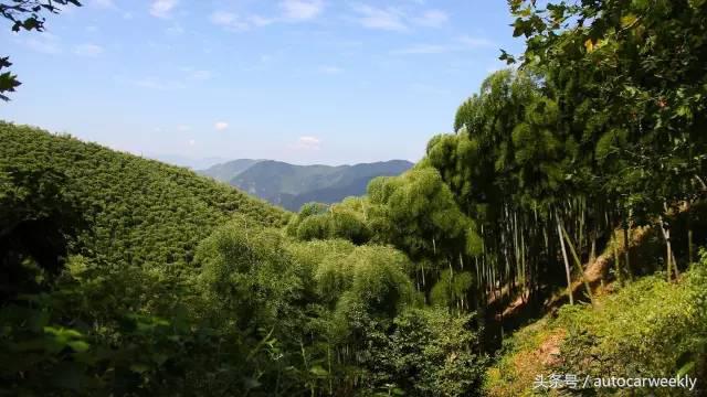 杭州40度的天气去哪玩,40度高温杭州去玩的地方