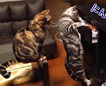 总是有些事情是我们想象不到的，比如说女人唠叨的时候男人会想什么？