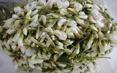 老人腿疼是血管原因的话怎么治疗,疏通血管软化血管最好的食物