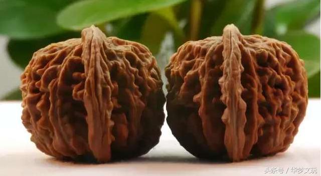 文玩核桃有哪些产地,文玩核桃主要产地在哪里