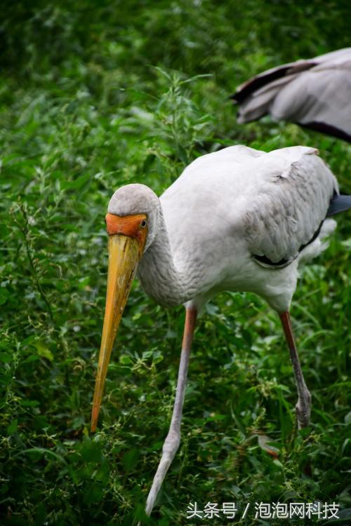 尼康d7500属于什么级别的单反,尼康d7500各种环境下的拍摄参数