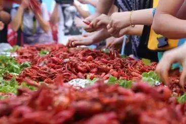 包教包会包分配,月嫂育婴包教包会包分配工作