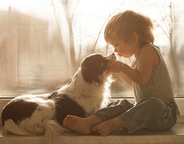 备孕可养狗狗吗,想备孕能养狗狗吗