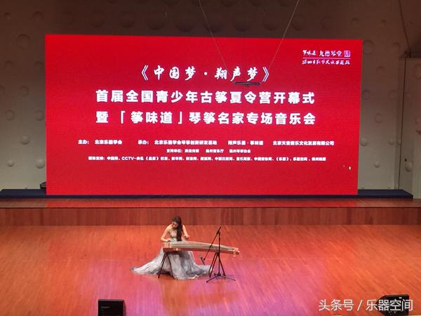 《中国梦翔声梦》——首届全国青少年古筝夏令营开幕式暨”筝味道“琴筝名家专场音乐会