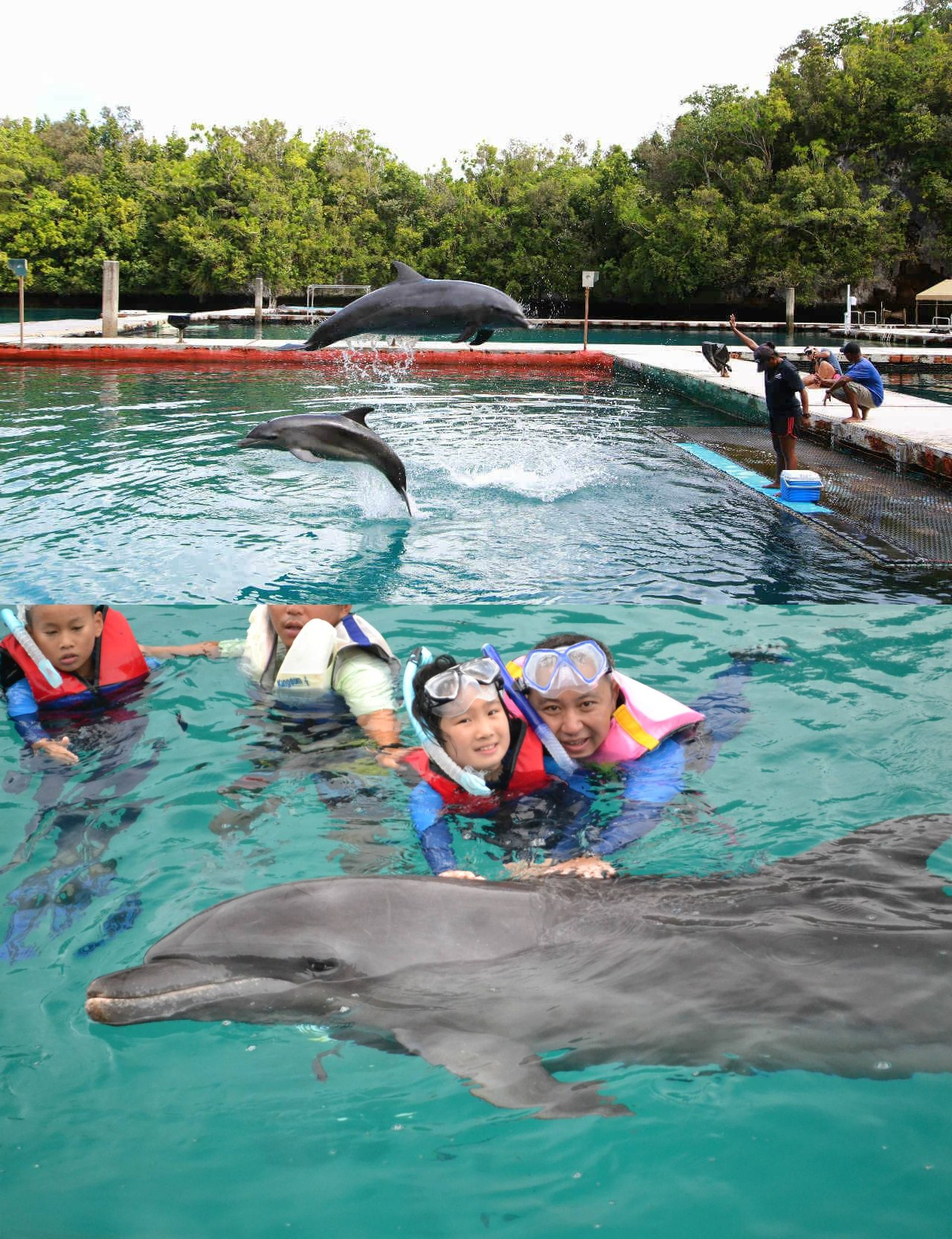 帕劳有什么玩的,帕劳出行攻略