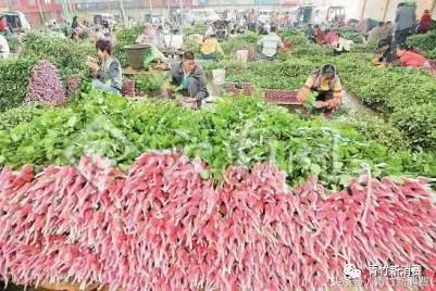 6亿资本作养料，鲜花市场究竟能开成什么样？