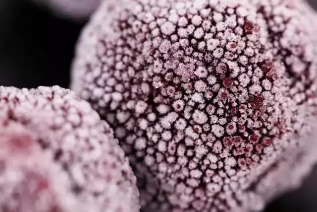 我把整个超市扔进了冷冻室，没想到还挺好吃