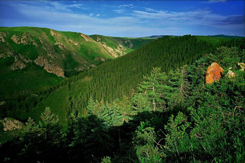 亚洲第一马场山丹军马场,世界第一大马场