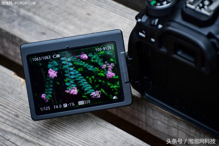 佳能6dmark2的标准参数,入门全画幅佳能6d