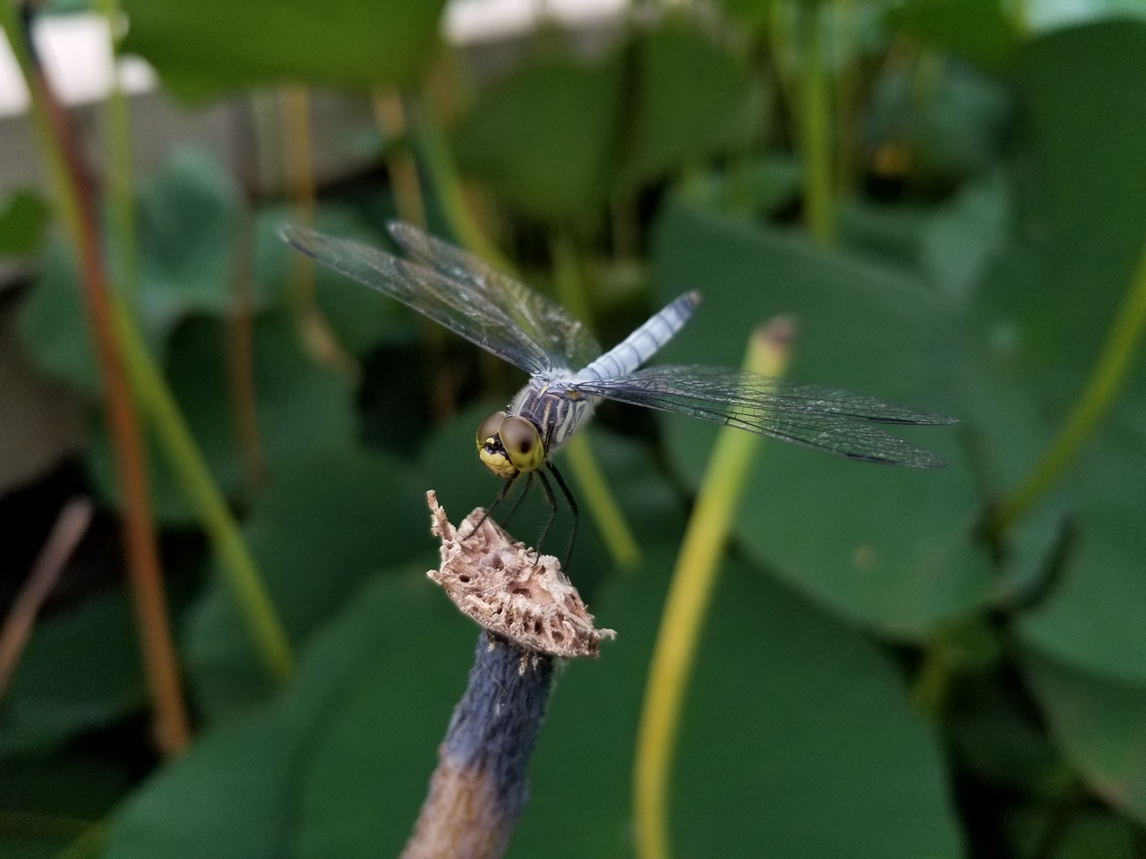 三星galaxys8和三星s8的区别,三星s8+还值得推荐吗