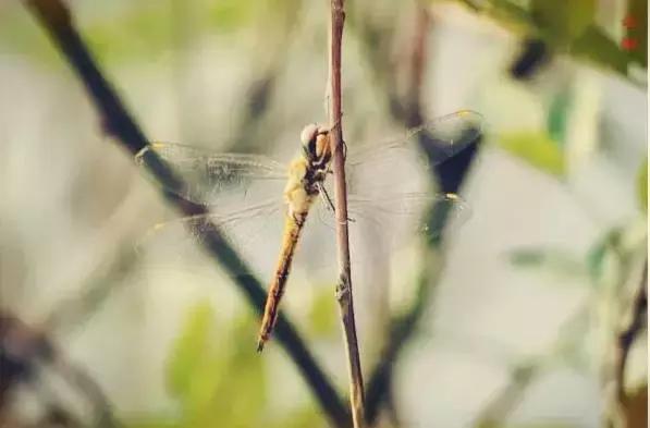 回忆过去1997,回忆1997的那个夏天