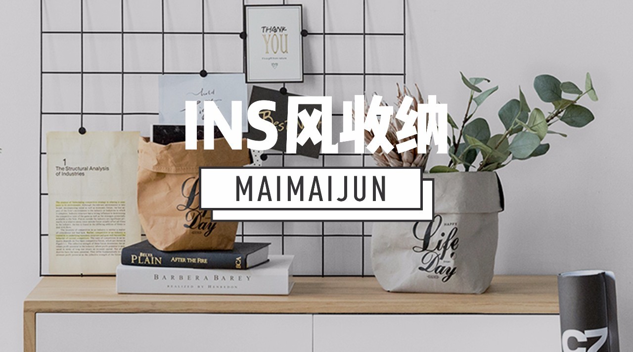 100元内红遍ins的创意收纳，我的家也要颜值爆表！