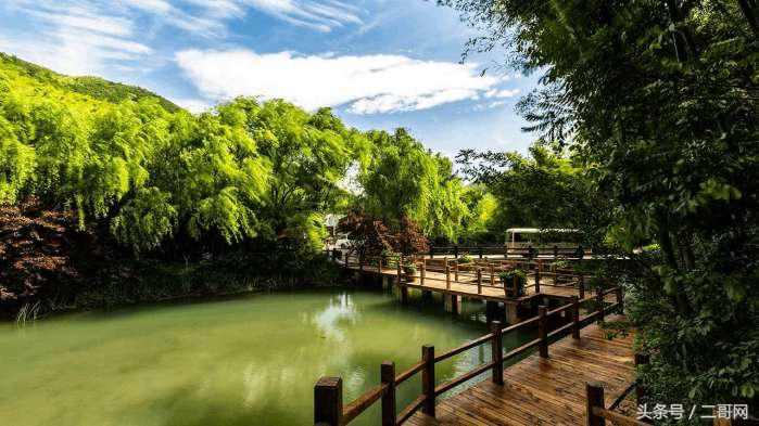 从身到心的清净！国内最美竹海你都去过吗？