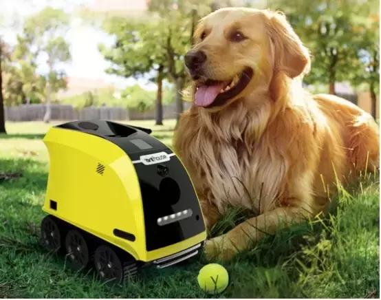 物联微刊｜全球首个DNA商店正式上线