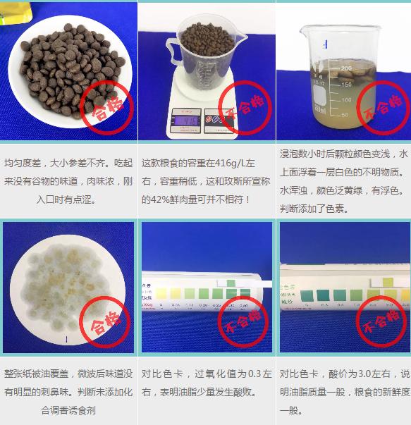 穿洋装说洋文结果背地里你居然是这样的玫斯？