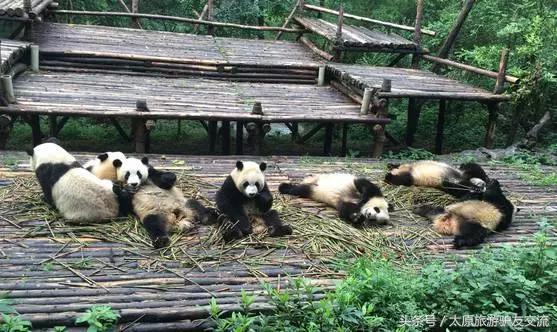 2天玩转成都攻略大全,成都5-7天攻略