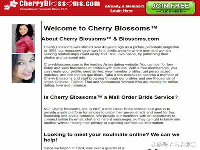 国外最好的婚恋平台,国外婚恋网站哪个靠谱